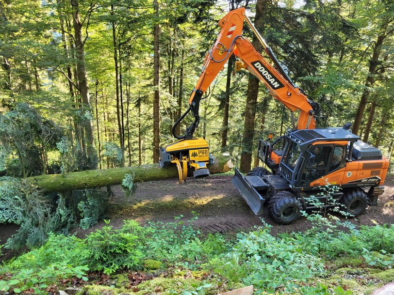 New Doosan DX210W-7 Cuts a Fine Figure in the Forest